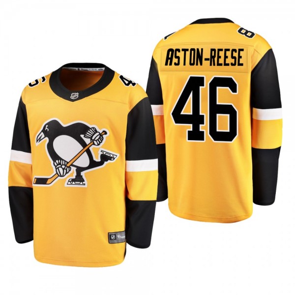 Men's Pittsburgh Penguins Zach Aston-Reese #46 201...